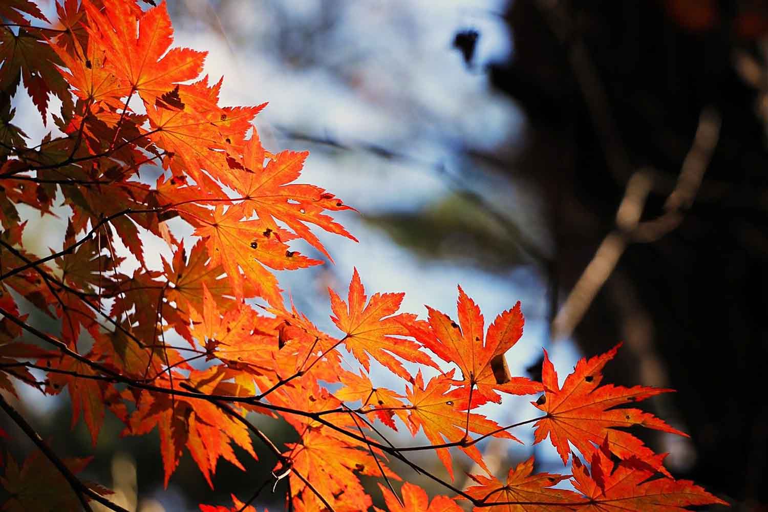 6 Steps To Update Your Autumn Skincare Routine