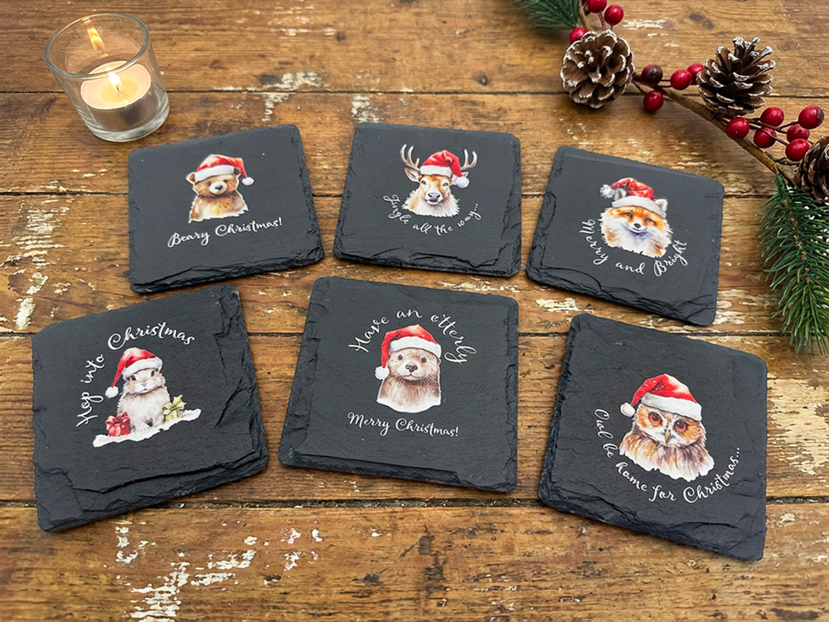 Woodland Animal Christmas Coaster Set