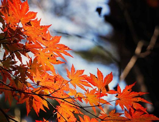6 Steps To Update Your Autumn Skincare Routine