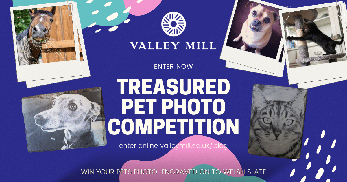 Photo Competition | Treasured Pet