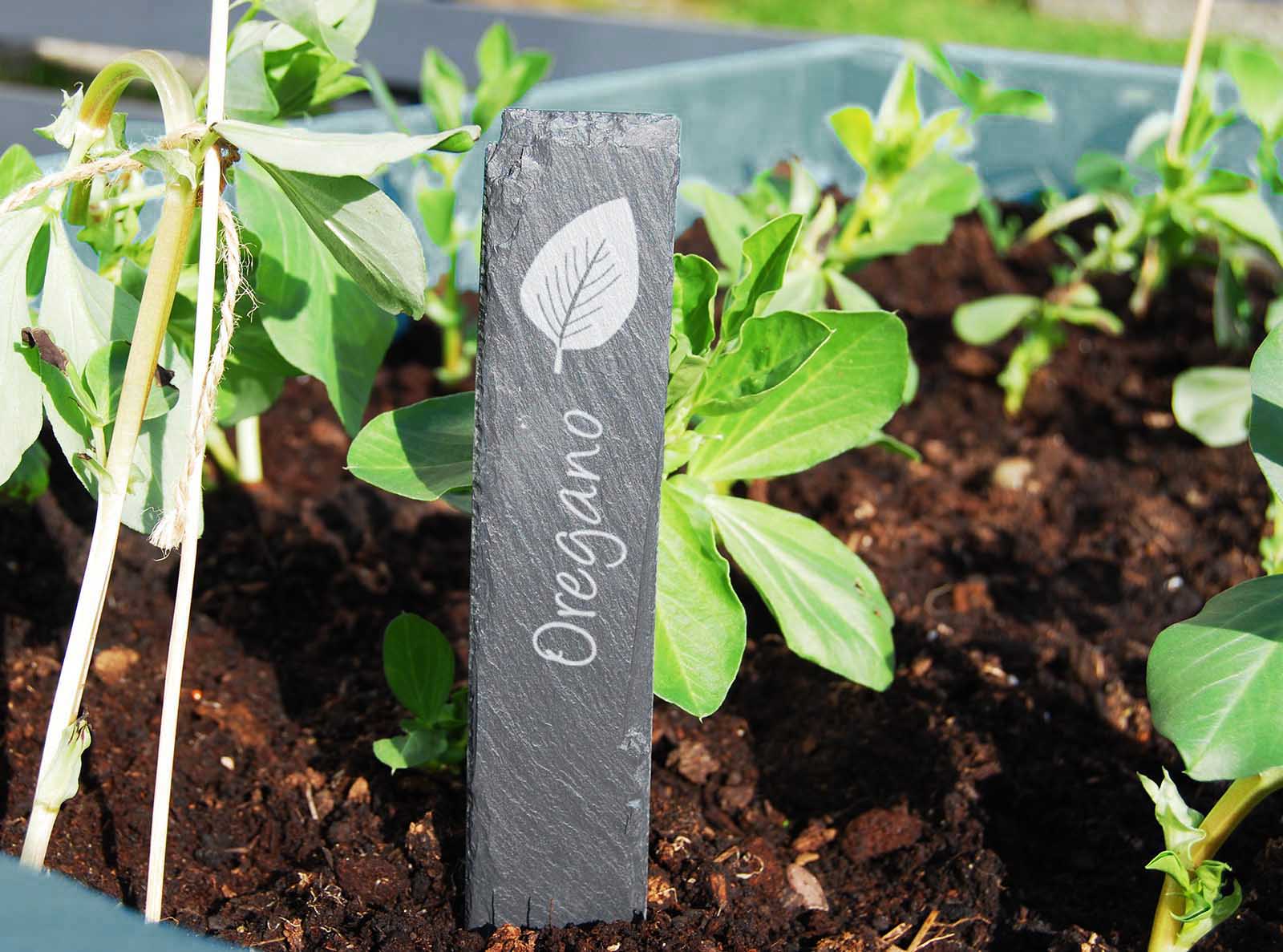 Hand-cut Welsh slate plant markers with a variety of differn herbs engraved