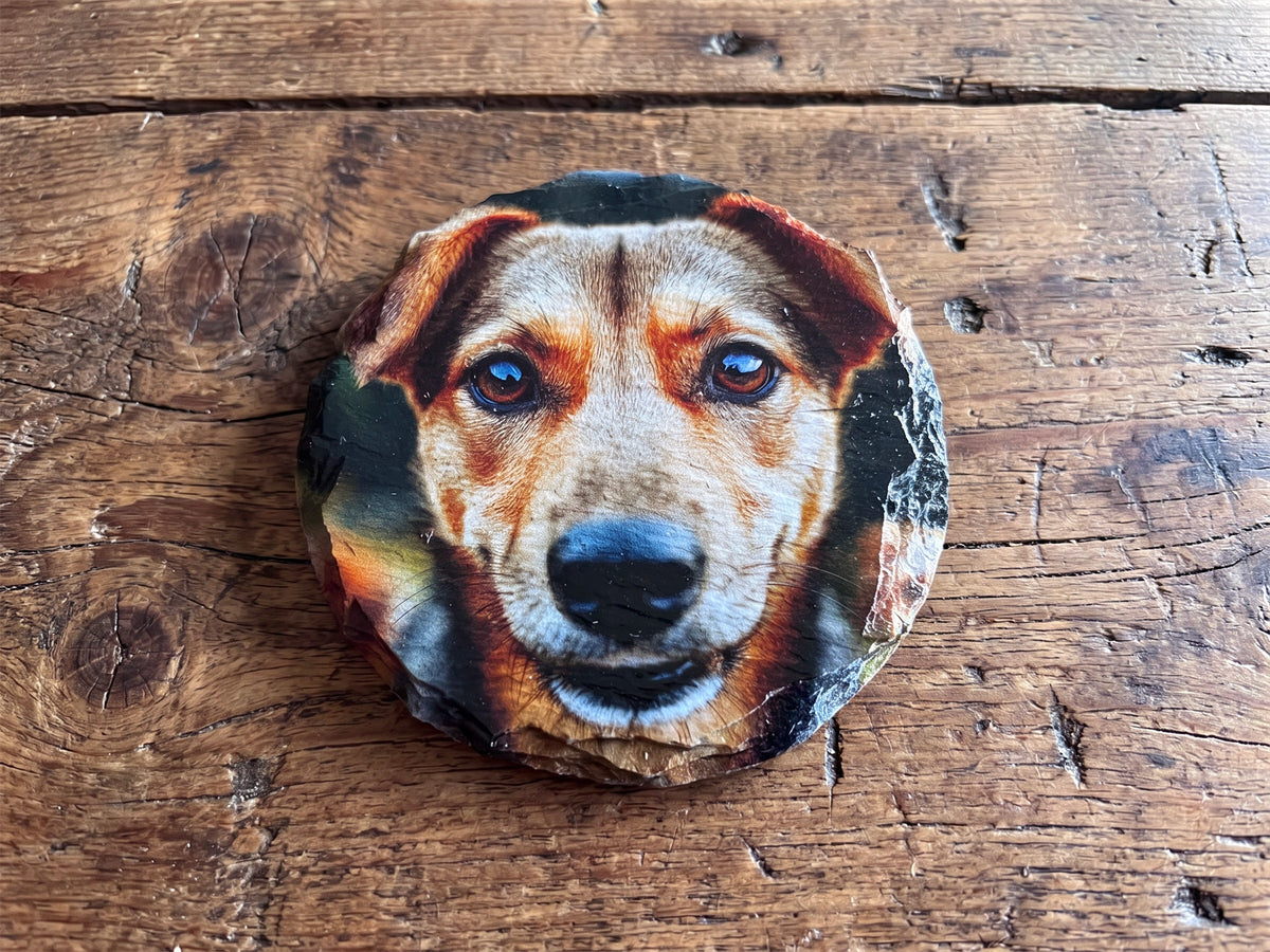 A round stone coaster featuring a printed portrait of a brown and white dog with blue eyes, placed on a rustic wooden surface.